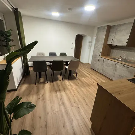 Moderne Grosse Mit Garten Lejlighed *