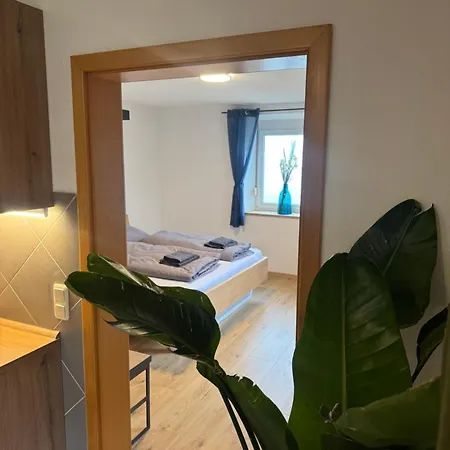 Moderne Grosse Mit Garten * ハウスハム