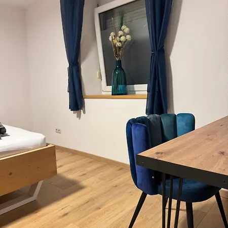 Moderne Grosse Mit Garten * ハウスハム