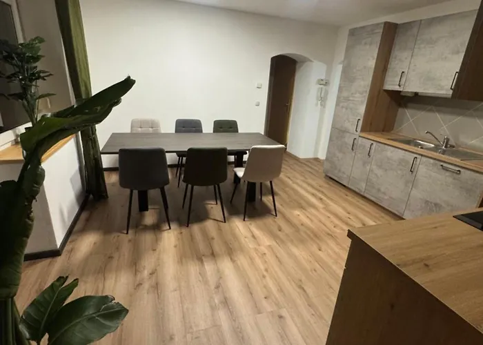 Moderne Grosse Mit Garten Lejlighed *