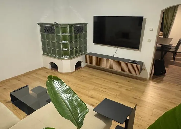 Moderne Grosse Mit Garten Lejlighed